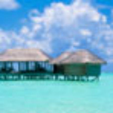 Little India Restaurant